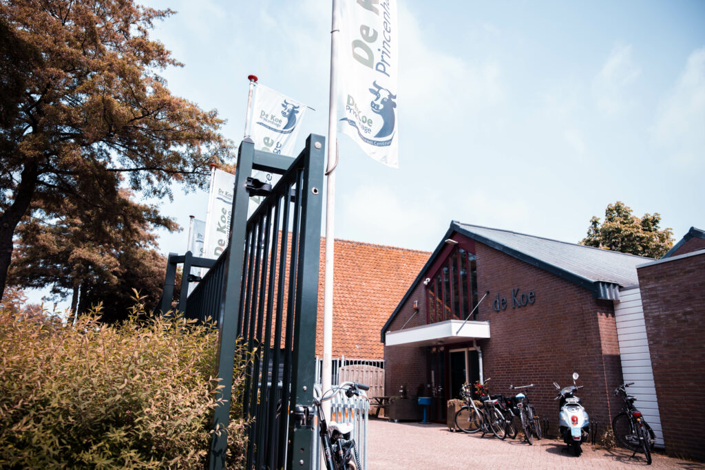 Sport-bso.flekss.de.koe1