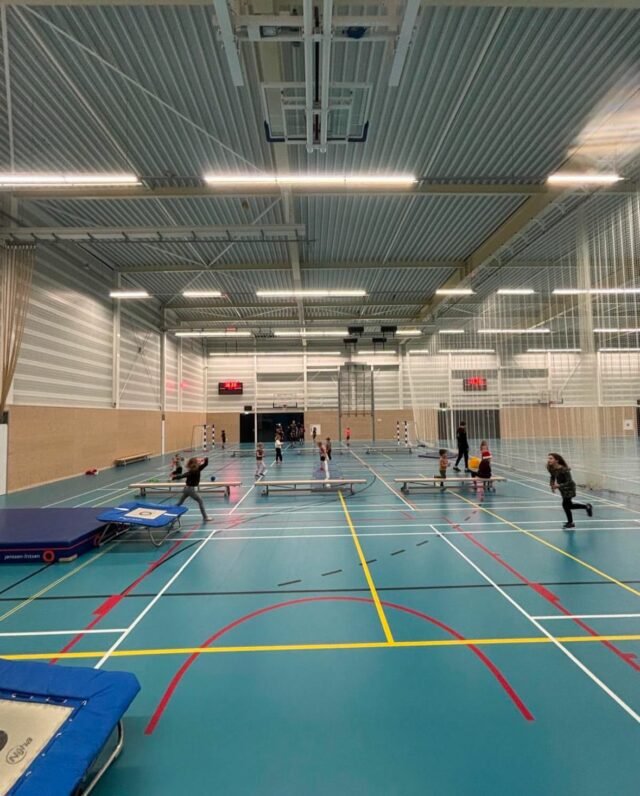 Kinderen gymmen bij Sport-BSO Flekss