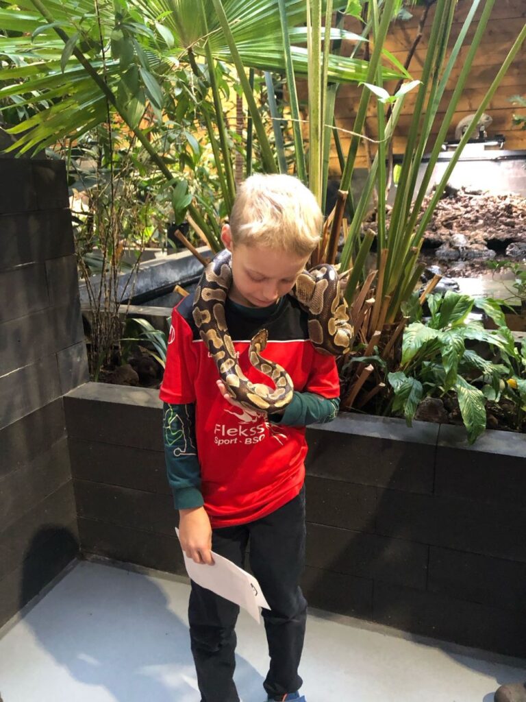 Flekss Kraaienest 7 1