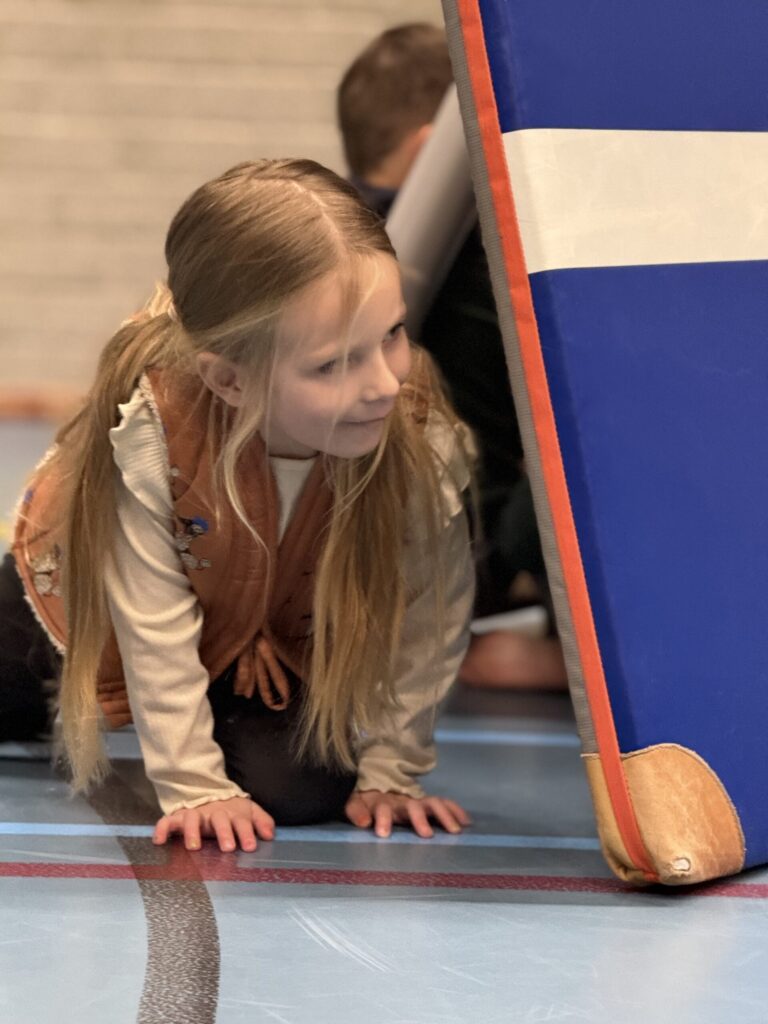 Sport-BSO Flekss Made - Tien tellen in de rimboe