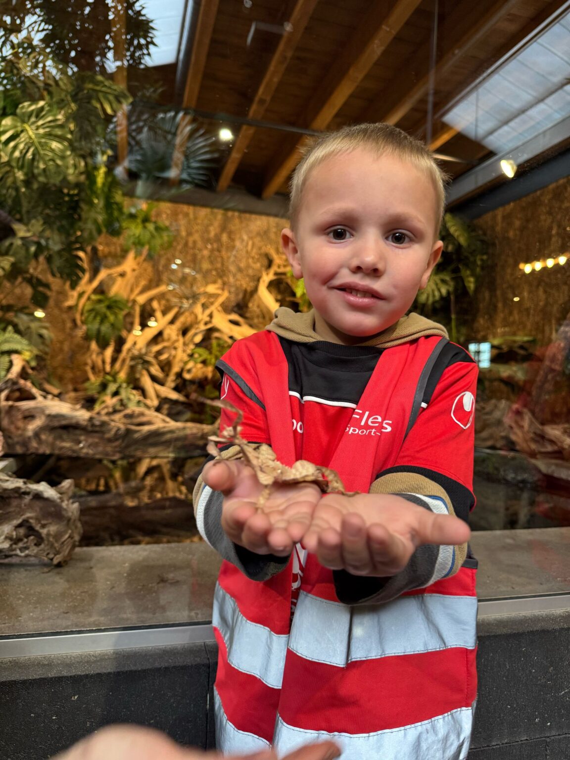 BSO dillehof - wandelende tak