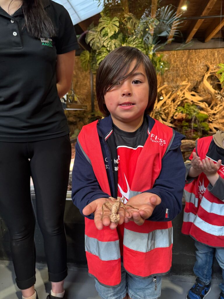 BSO dillehof - Wandelende tak 2