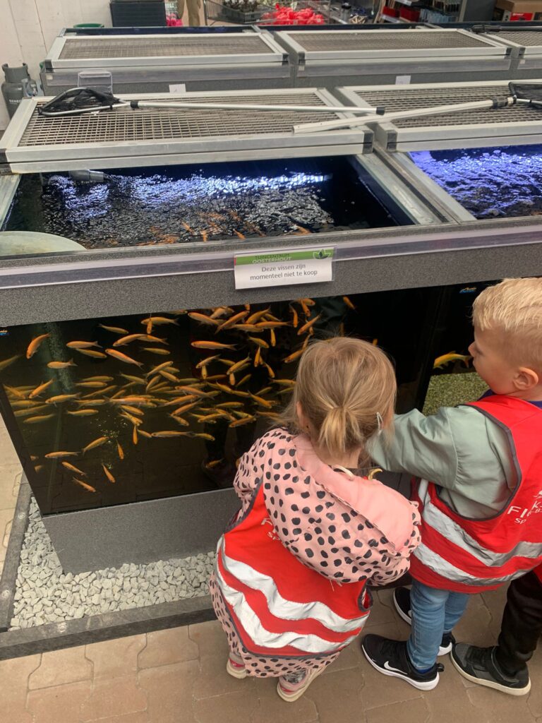 BSO dillehof - Vissen kijken