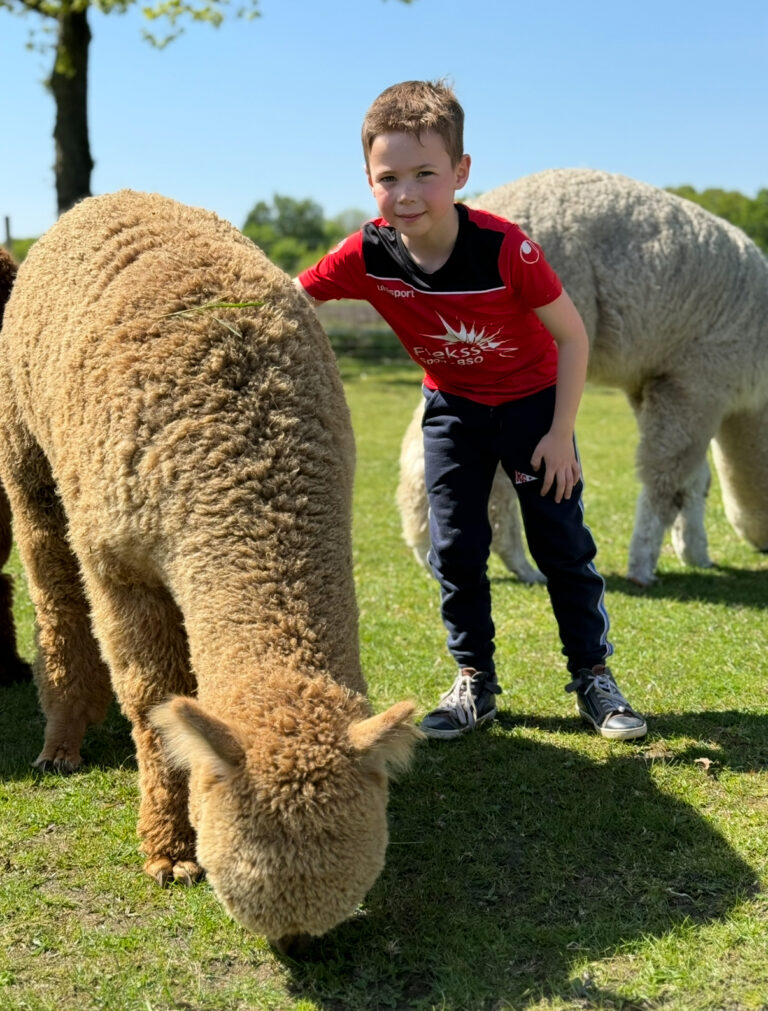 Sport-BSO Flekss Made - Alpaca Country Oosterhout