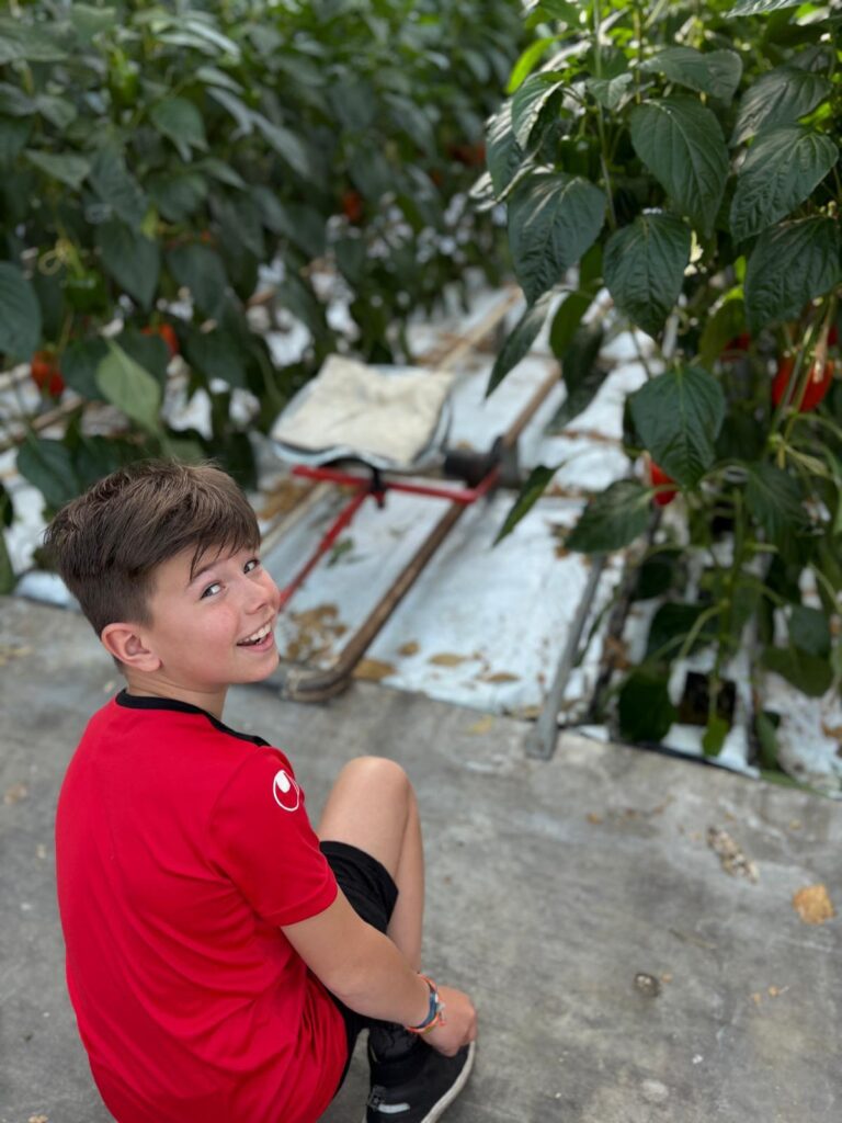 Sport-BSO Flekss Made - Kwekerij De Sluis