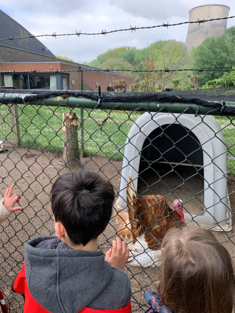 Raamsdonksveer - Speeltuin