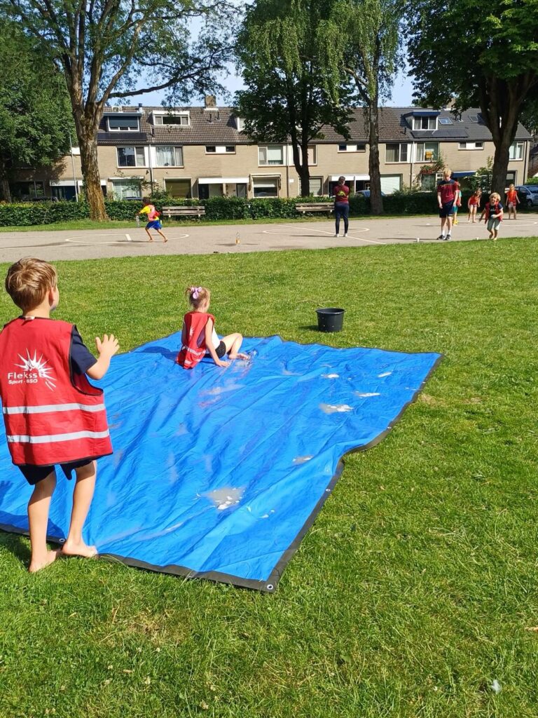 Flekss de doelen princehage