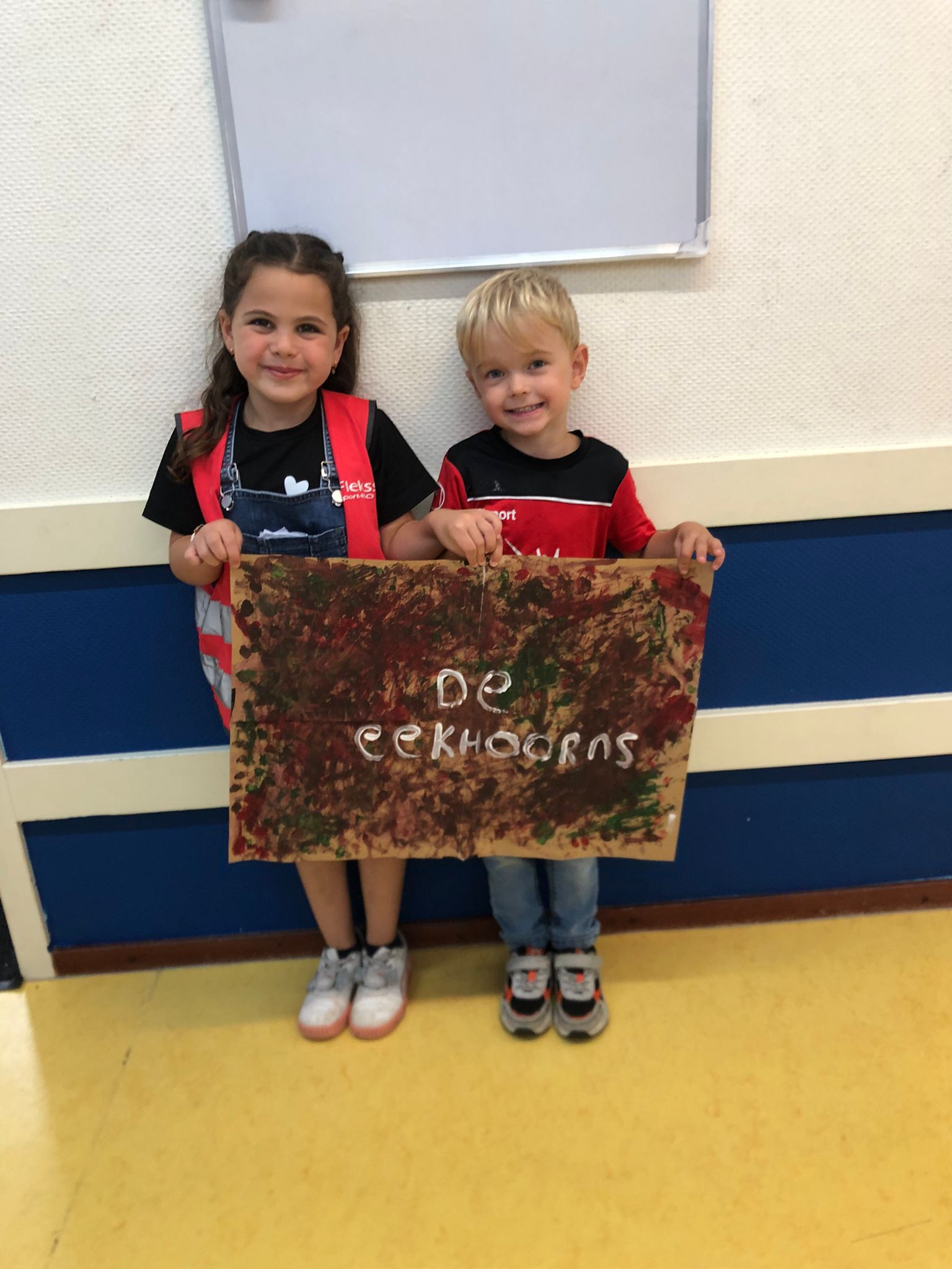 vlag maken met flekss