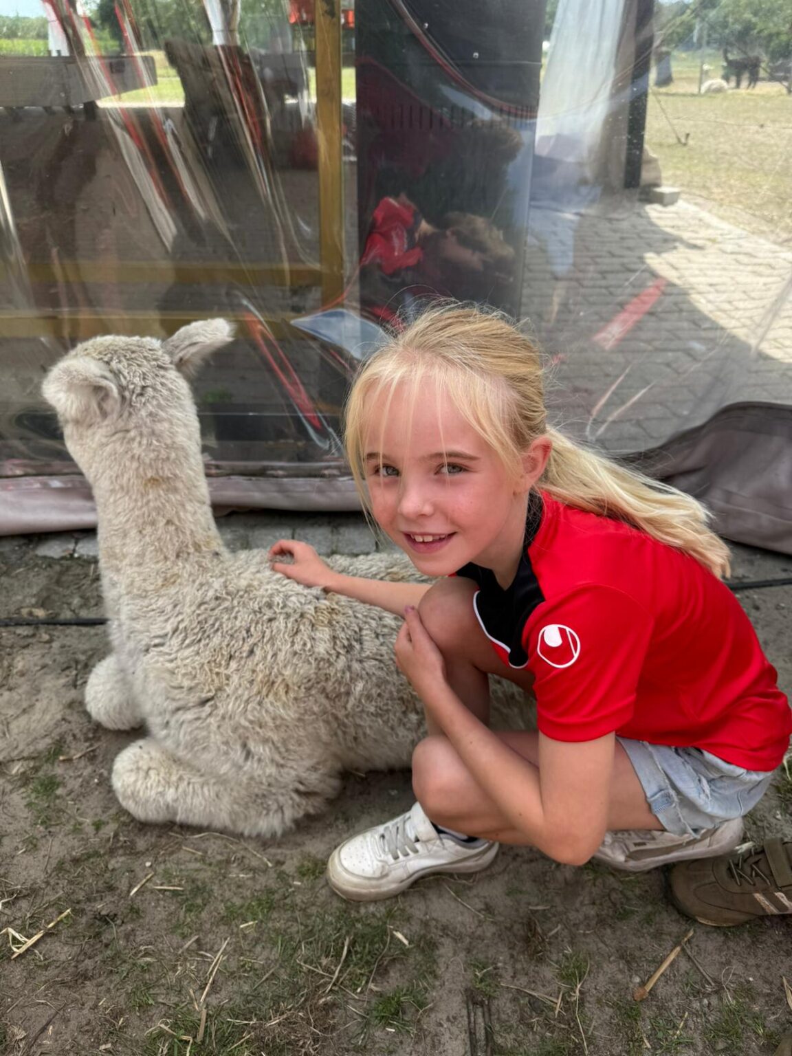 Menorah-alpacaboerderij