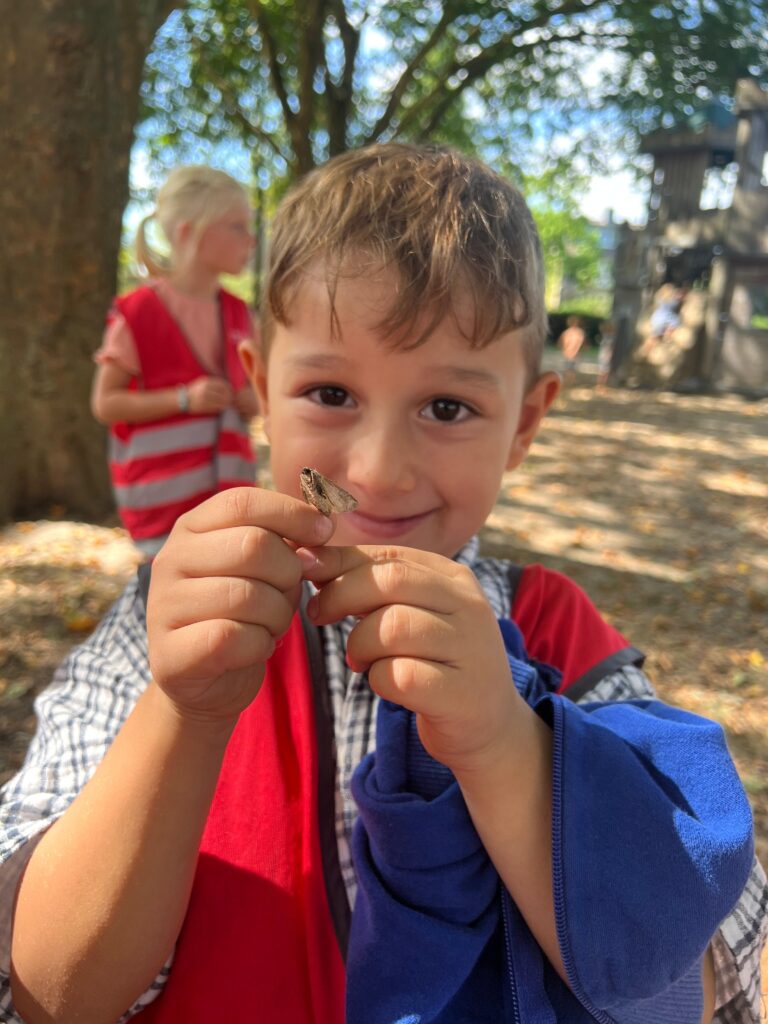 Een mot gevonden in de speeltuin