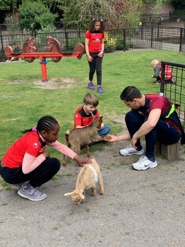 sport bso flekss breda