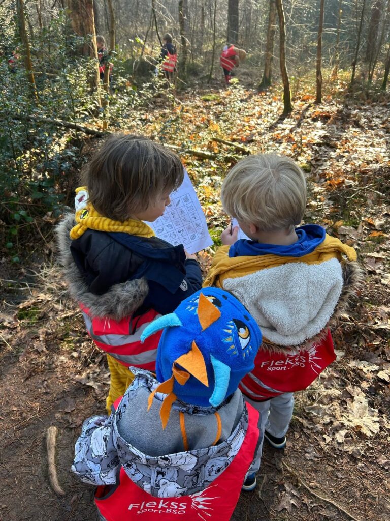 Mathenesse - bosbing