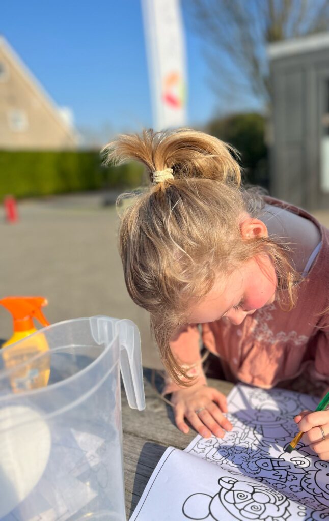 sport bso breda flekss