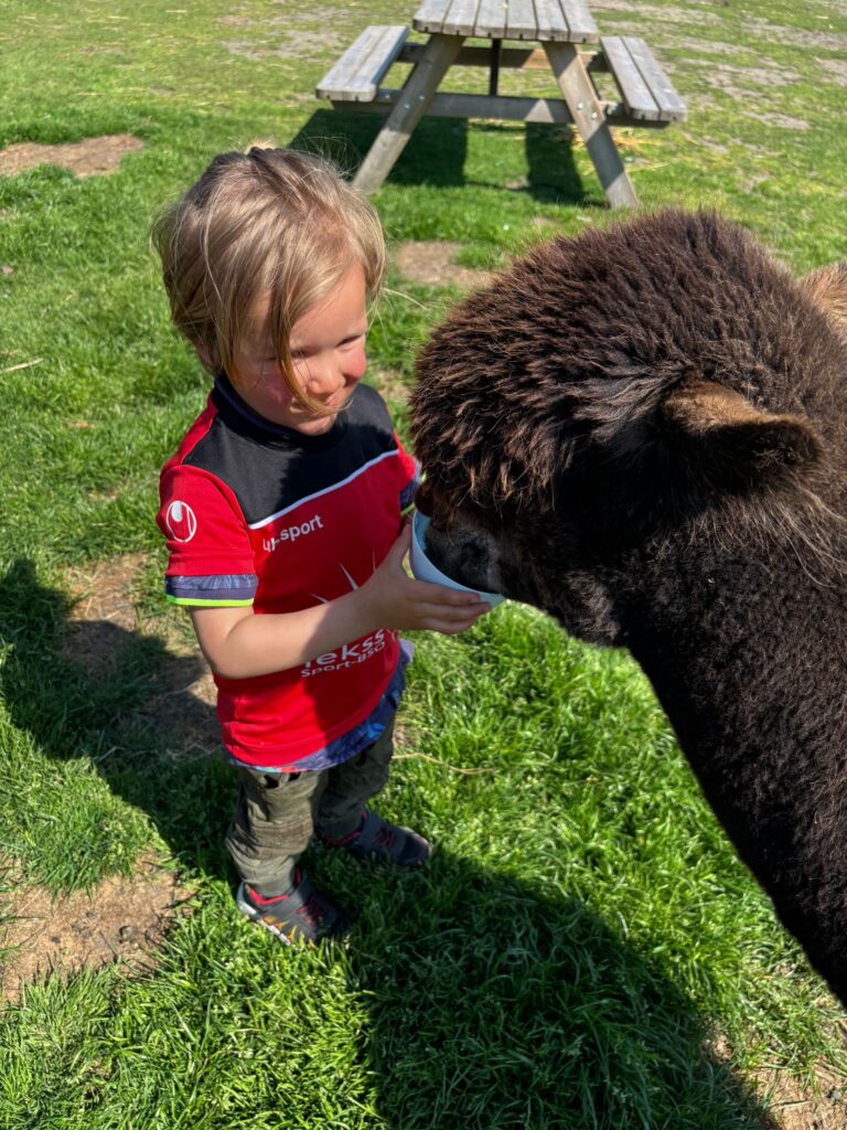 flekss kinderopvang breda