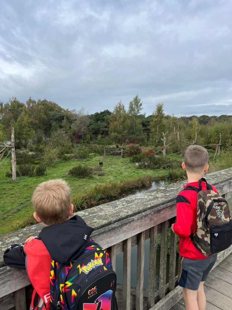 kinderen-kijken-apen-klundert