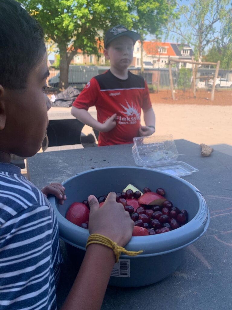 de allerleukste vakanties bij flekss kinderopvang