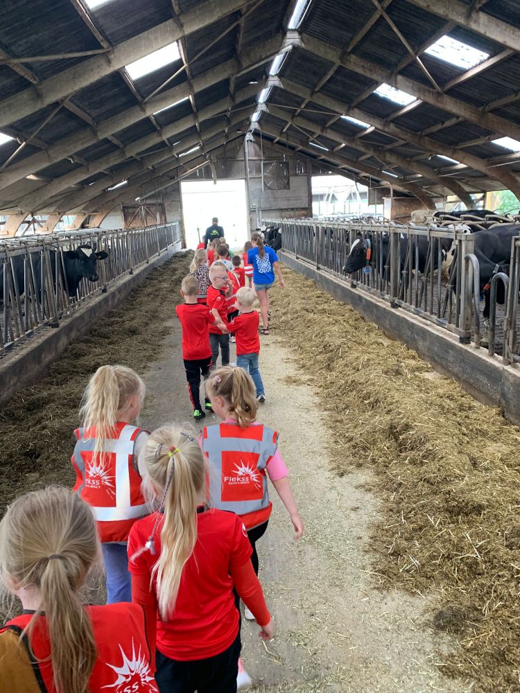 Flekss Terheijden 28 - boerderij