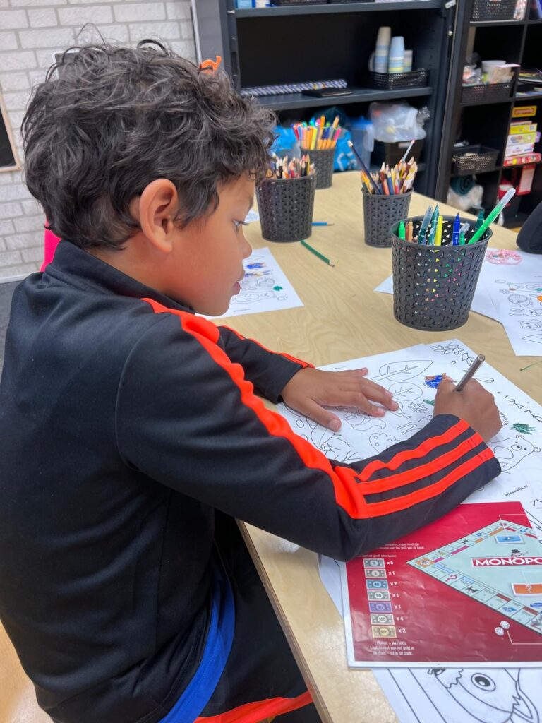 sport bso flekss wildert breda