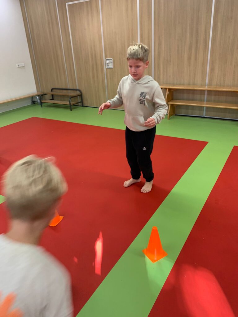 Flekss zonzeel 12 - gymmen