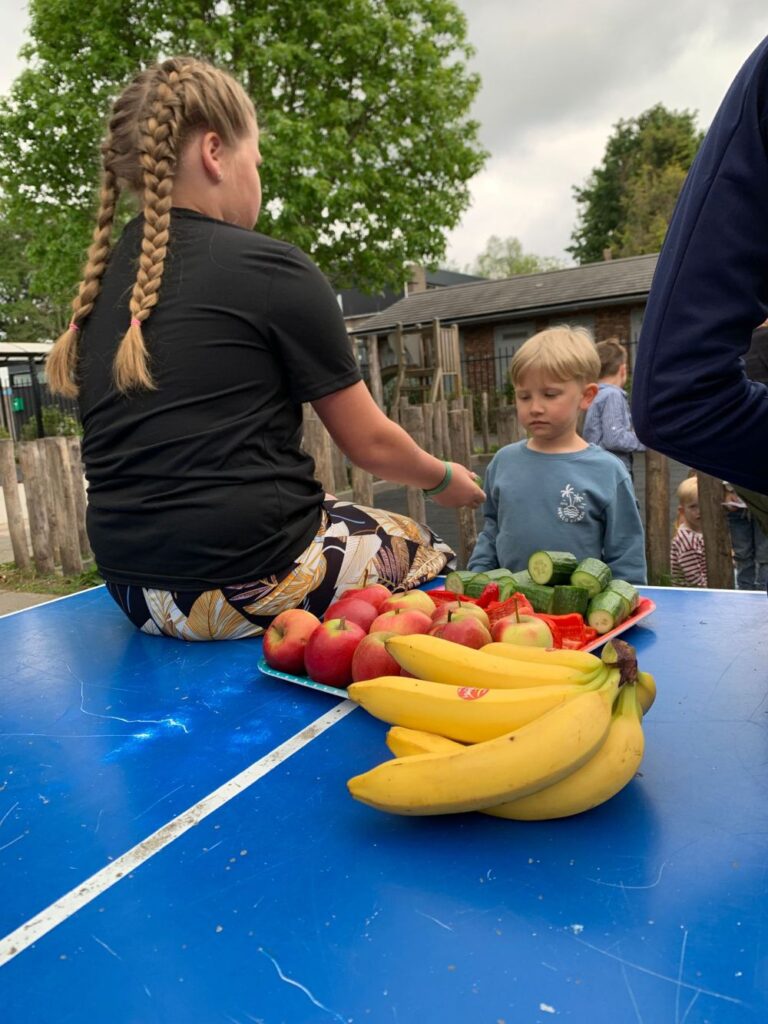 flekss zonzeel 13 - buitenspelen