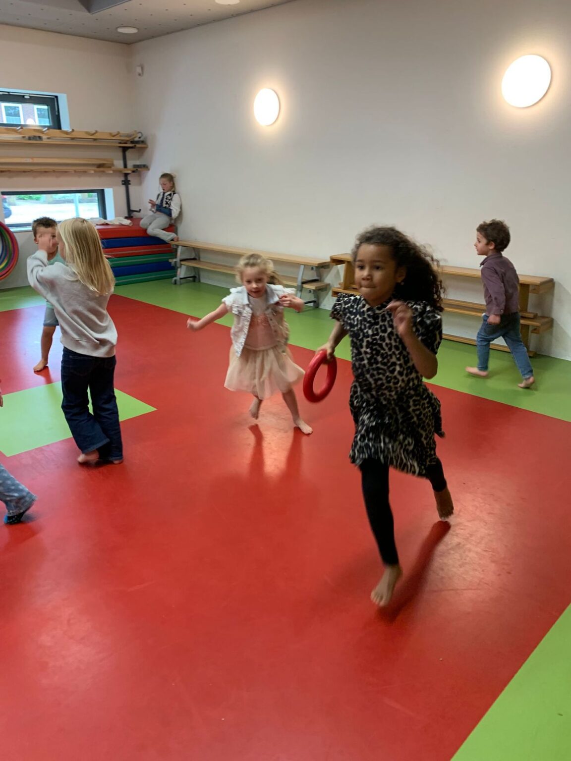 Flekss zonzeel 14 - gymmen