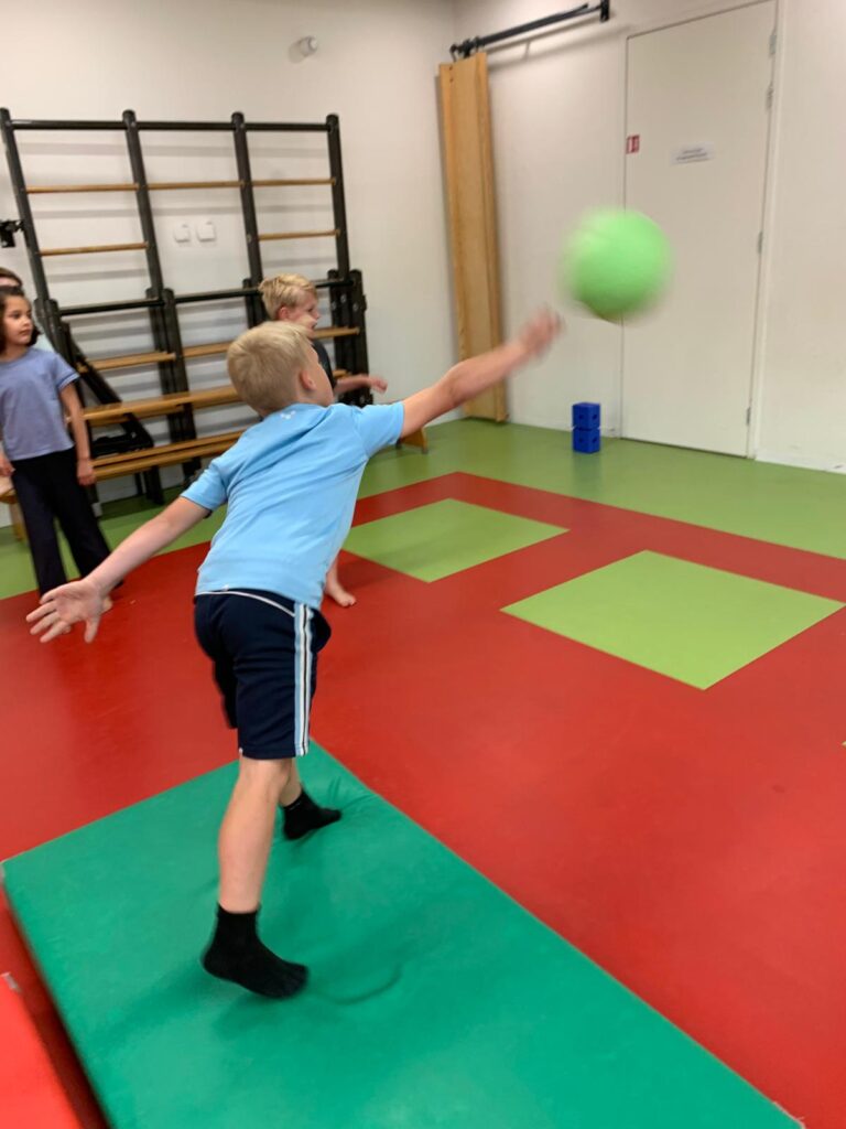 flekss zonzeel 21 - gymmen