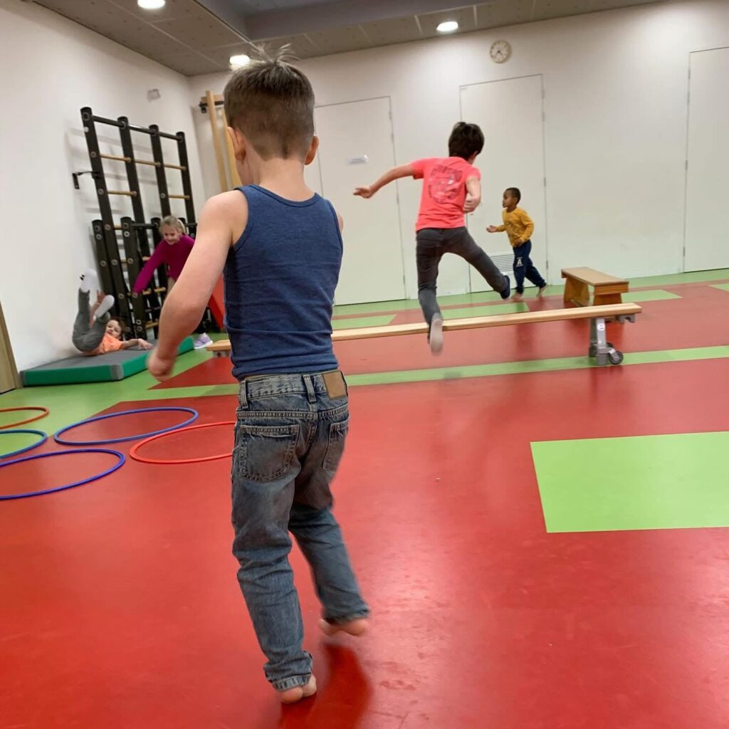 Flekss zonzeel 2 - gymmen