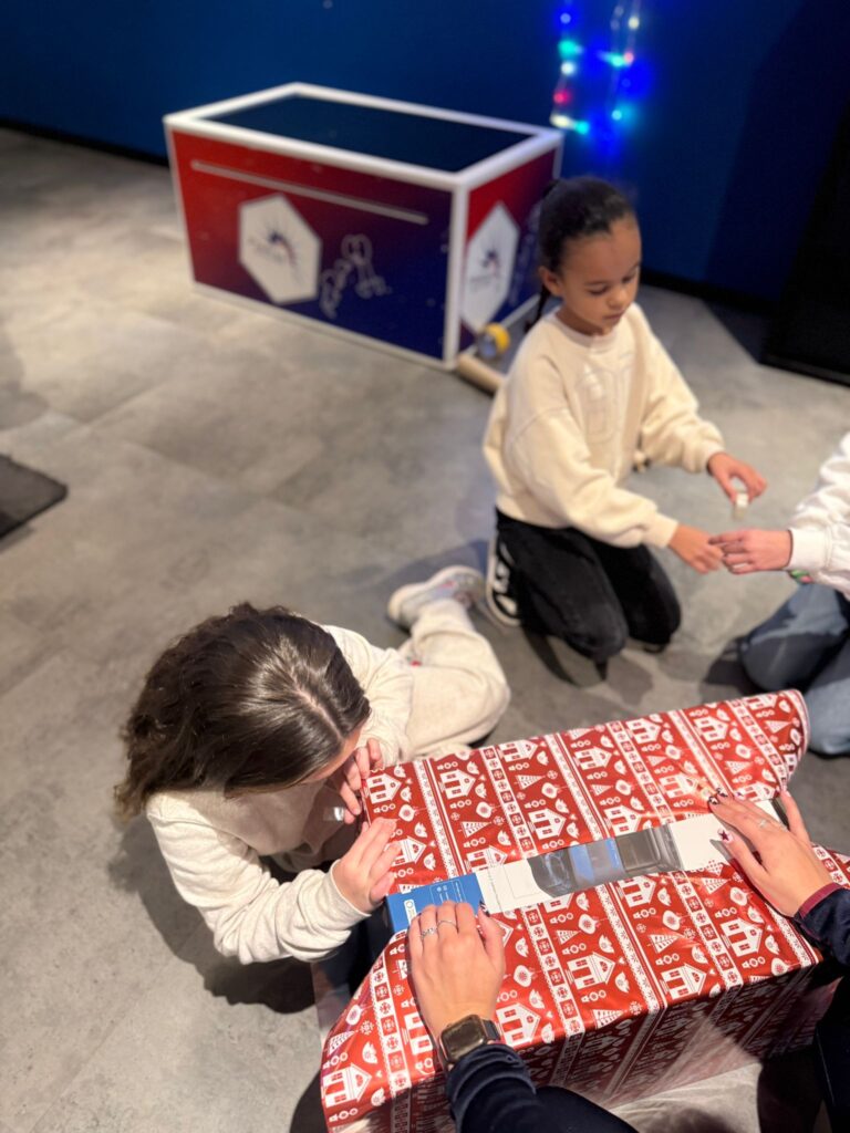 cadeautjes inpakken flekss kraaienest