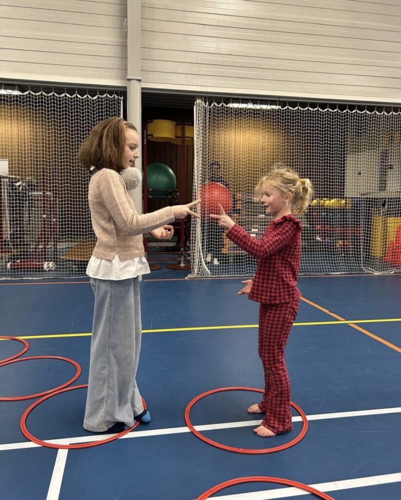 Fennaas-steen papier schaar