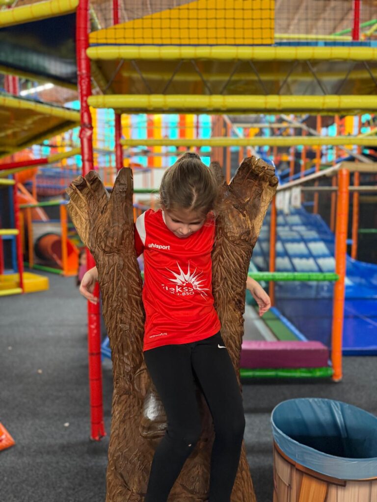 Blog week 8 SSC- Monkey Town