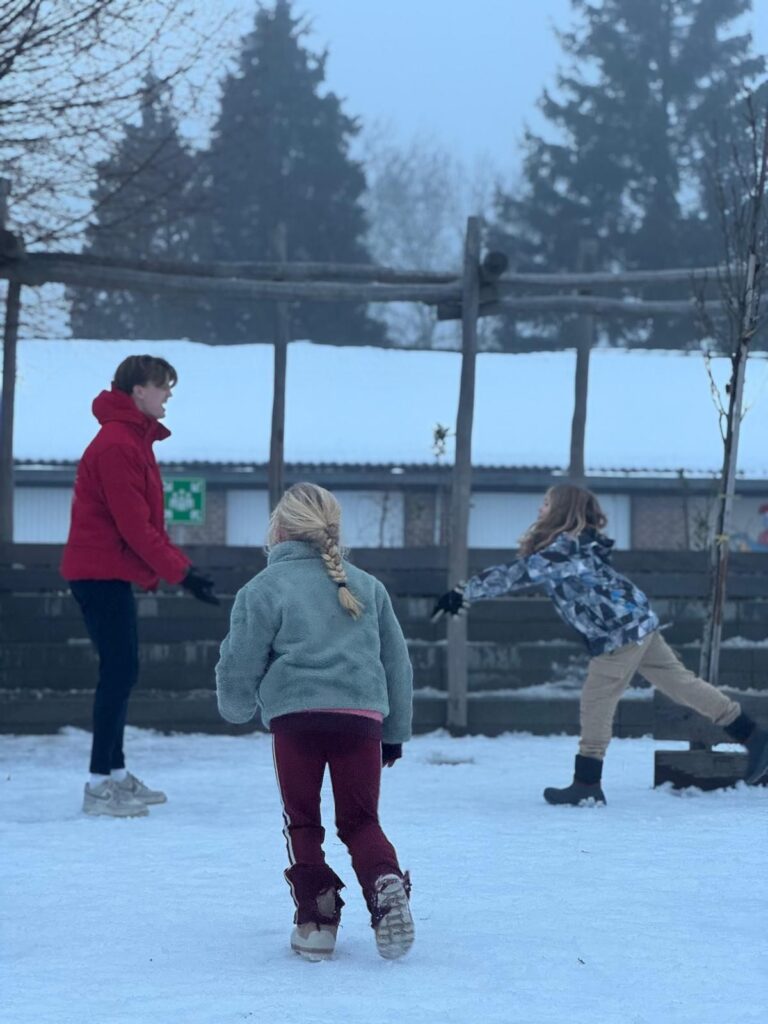 flekss zeggewijzer sneeuwballengevecht