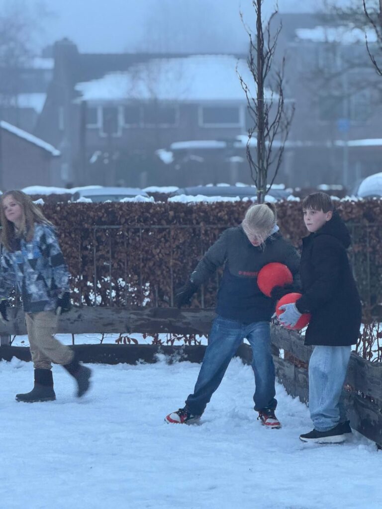 Flekss zeggewijzer - sneeuwtrefbal