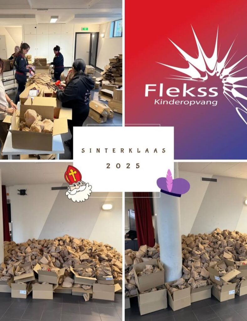 Sinterklaascadeaus Sport-BSO Flekss