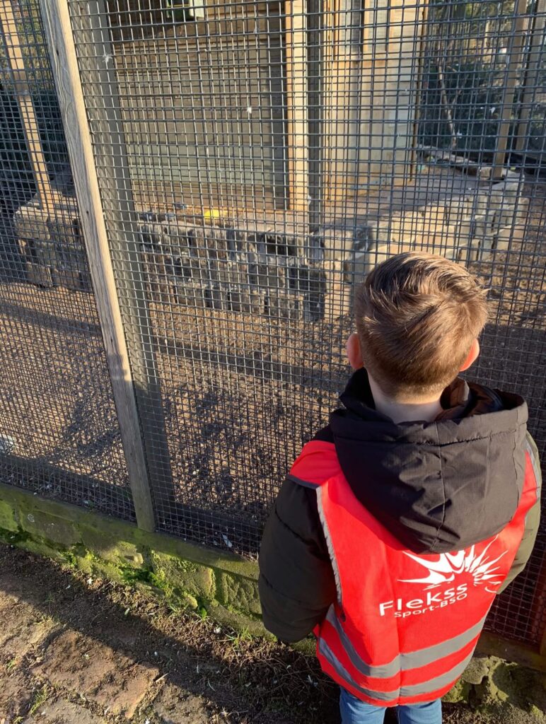 Sport BSO Flekss RKDVC 6.3