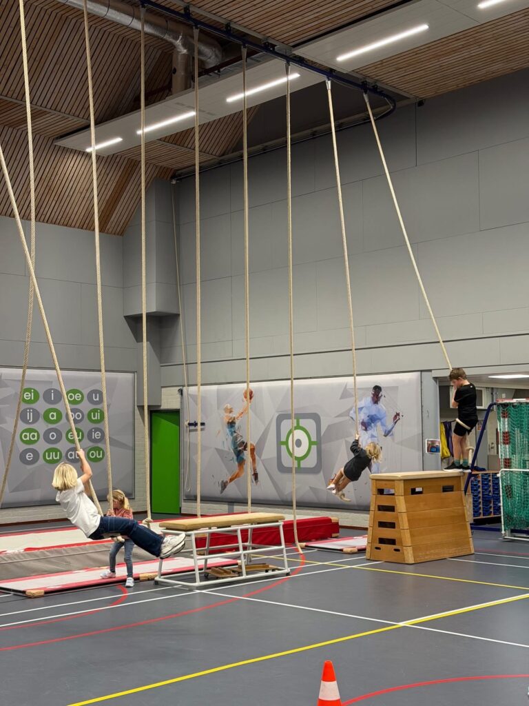 Sport BSO Flekss RKDVC 7.3