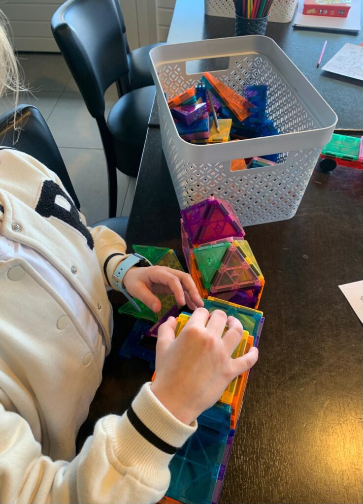 Blog SSC week 10- magnetische bouwstenen