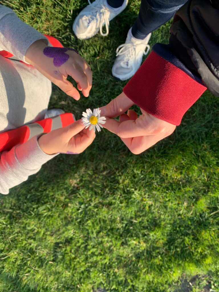 Blog SSC week 12- Mooi bloemetje