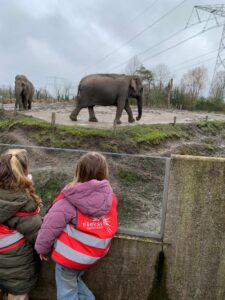 Flekss Terheijden - uitje Eindhoven Zoo