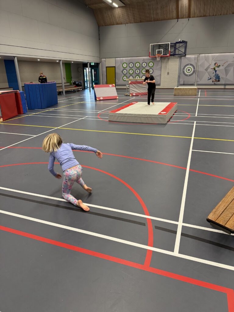 Sport BSO Flekss RKDVC 12.6