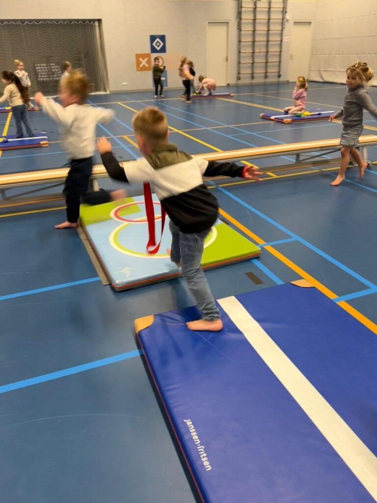 Gymzaal Sport-BSO Flekss Dillehof