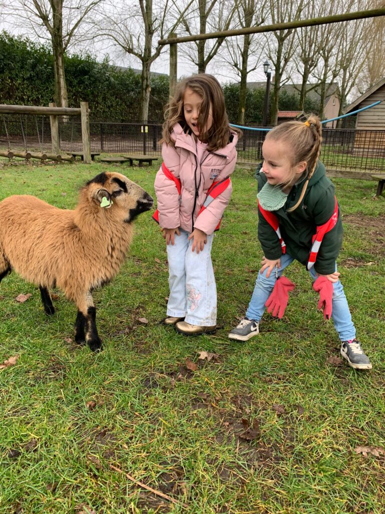 Sport-BSO Flekss Dongen