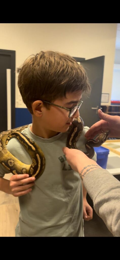 De Fennaas-reptielen