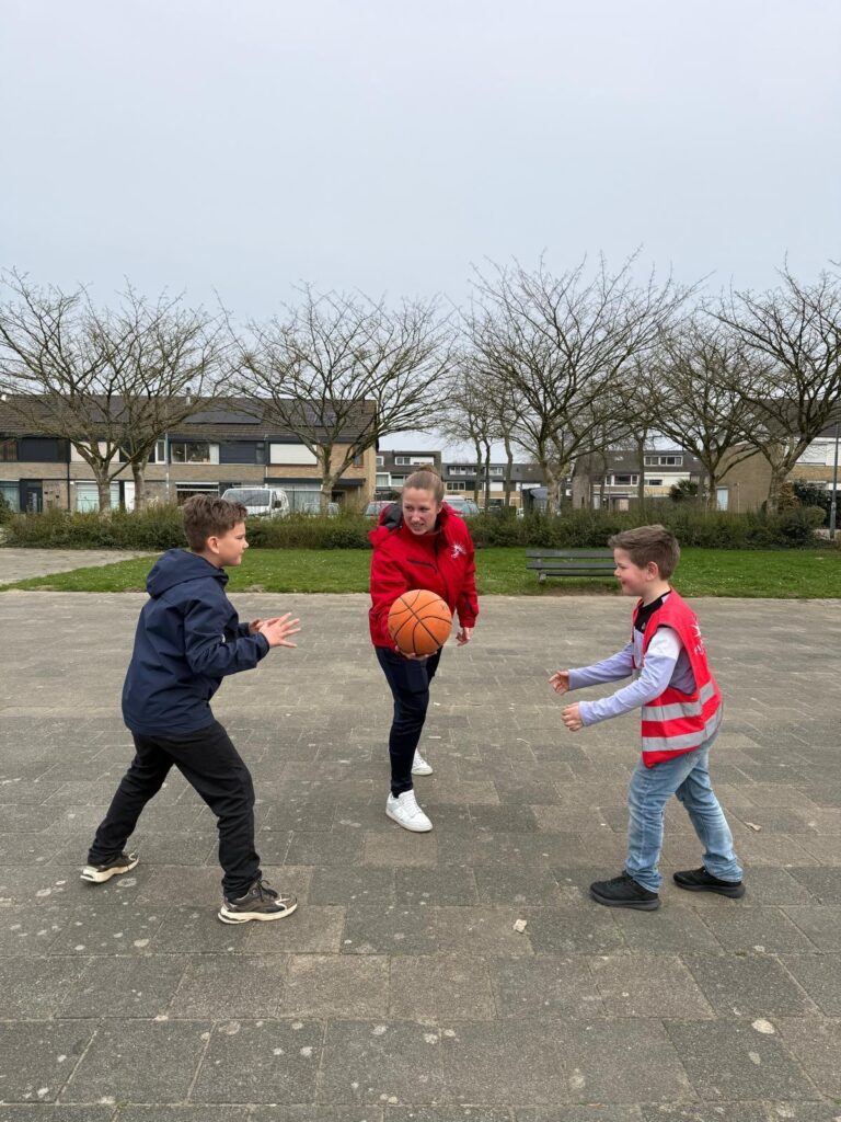 Sport-BSO Flekss Dillehof