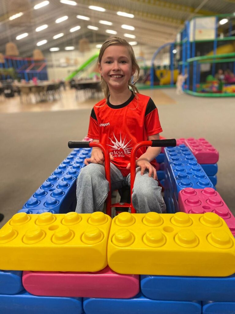 Sport-BSO Flekss Dillehof