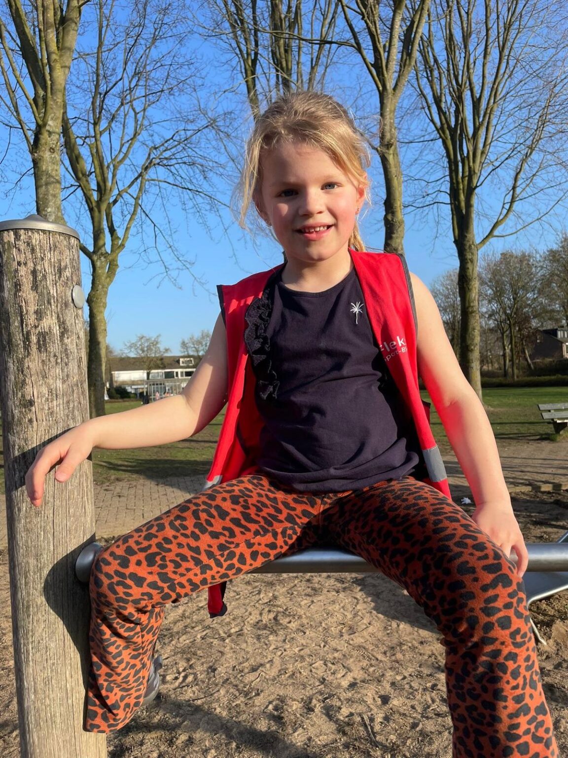 Sport-BSO Flekss Dillehof