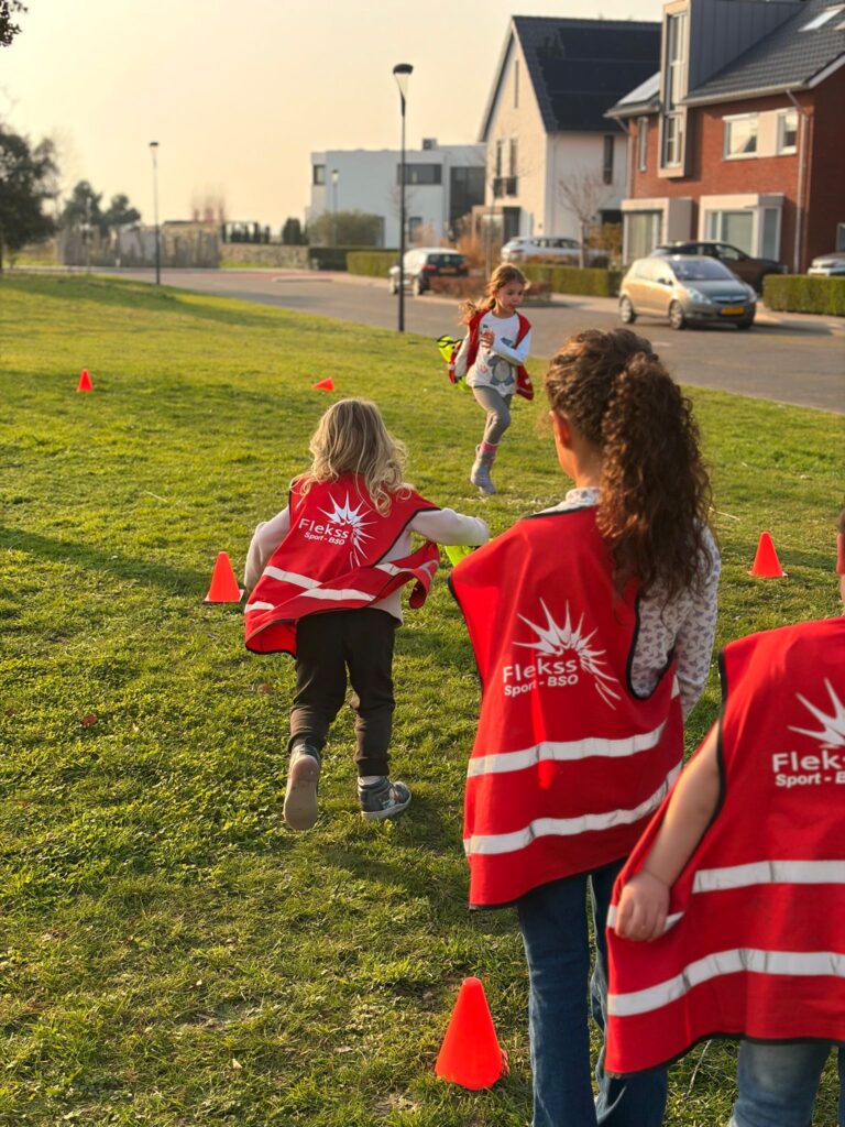 Sport-BSO Flekss Heijl