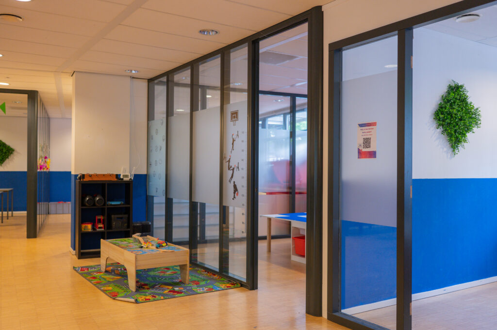 Sport BSO Flekss Dillehof
