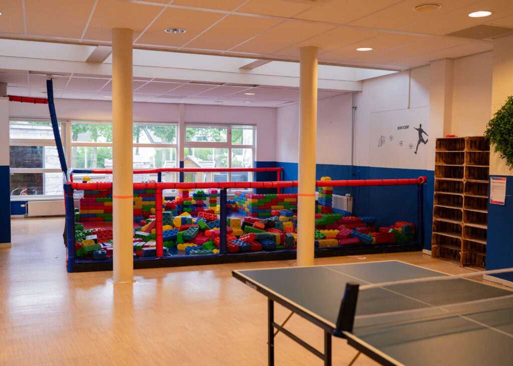 Sport-BSO Flekss Dillehof