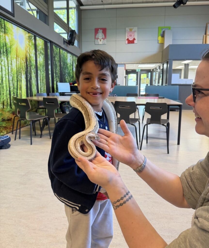 Menorah-reptielenworkshop