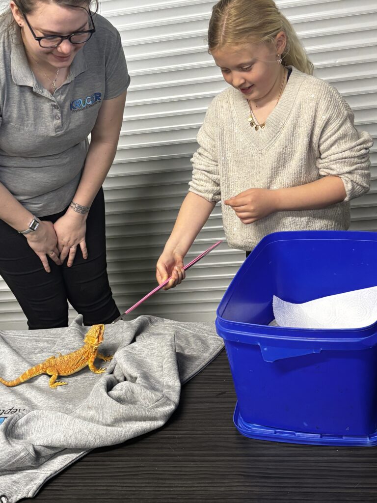 Sport-BSO Flekss Soccer Center - Reptielen workshop